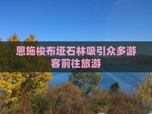 恩施梭布垭石林吸引众多游客前往旅游