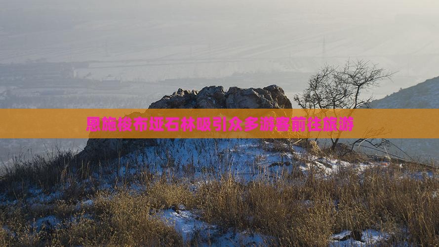 恩施梭布垭石林吸引众多游客前往旅游