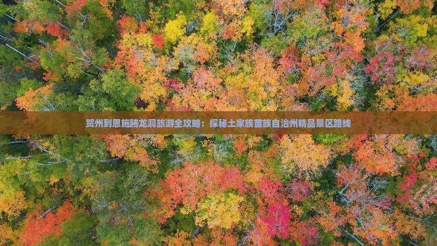 贺州到恩施腾龙洞旅游全攻略：探秘土家族苗族自治州精品景区路线