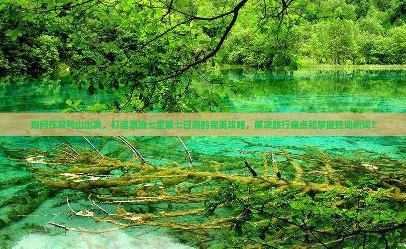 如何在双鸭山出发，打造恩施七星寨七日游的完美攻略，解决旅行痛点和掌握热词新词？