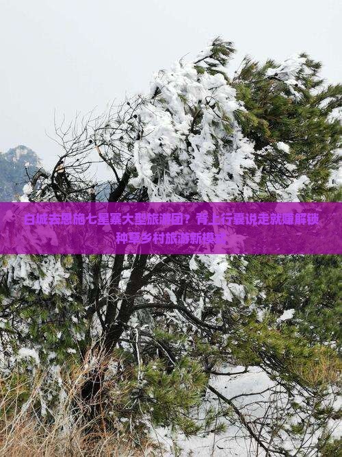 白城去恩施七星寨大型旅游团？背上行囊说走就赚解锁种草乡村旅游新模式