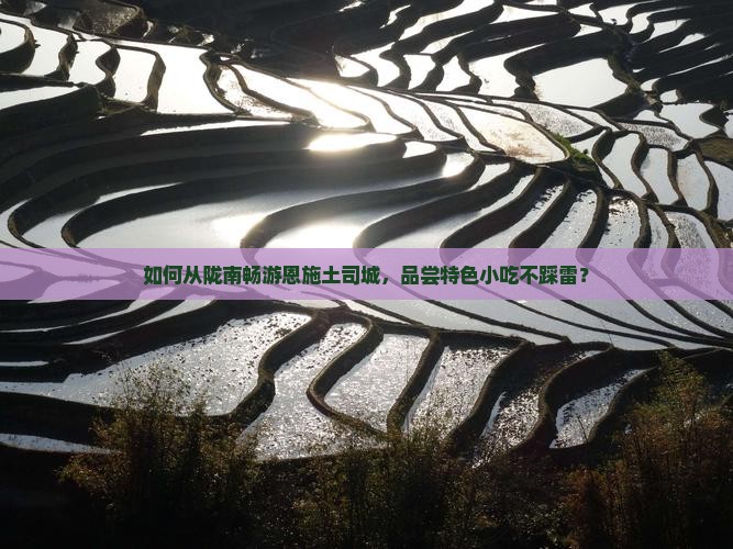 如何从陇南畅游恩施土司城，品尝特色小吃不踩雷？