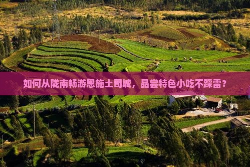 如何从陇南畅游恩施土司城，品尝特色小吃不踩雷？
