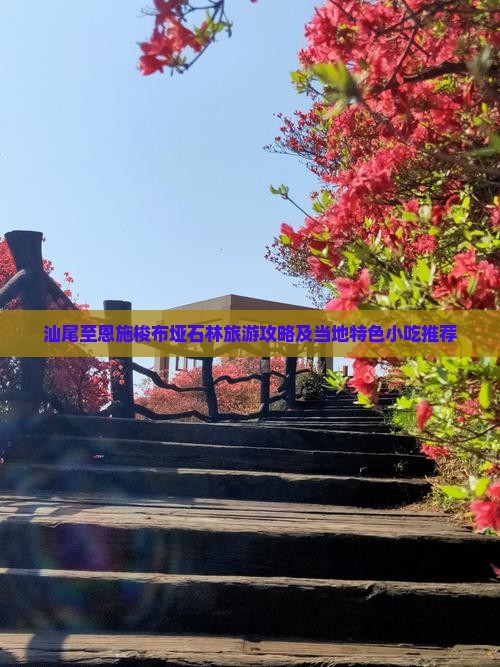 汕尾至恩施梭布垭石林旅游攻略及当地特色小吃推荐