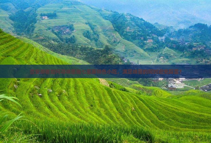 吉安游客如何寻味恩施七星寨特色小吃，满足味蕾的同时避免踩雷？