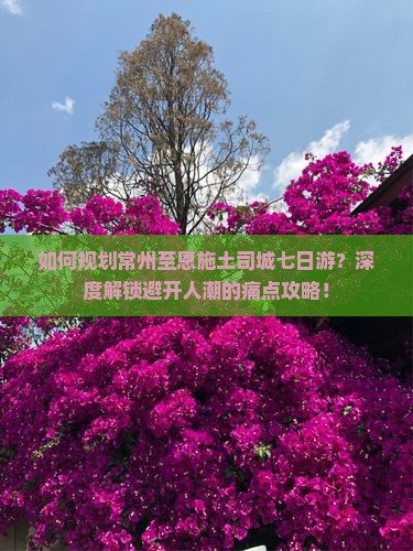 如何规划常州至恩施土司城七日游？深度解锁避开人潮的痛点攻略！