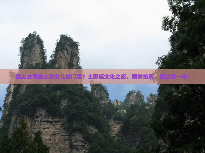 延边去恩施土家女儿城门票？土家族文化之旅，限时抢购，错过等一年！