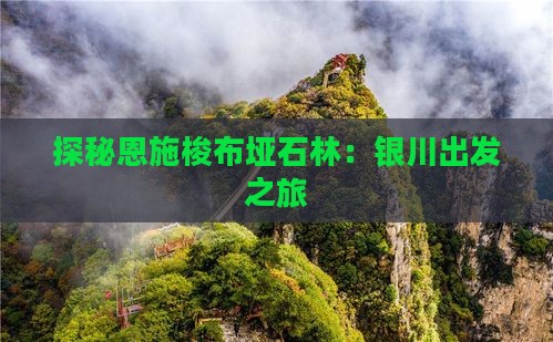 探秘恩施梭布垭石林：银川出发之旅
