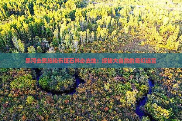 黑河去恩施梭布垭石林必去地：探秘大自然的奇幻迷宫