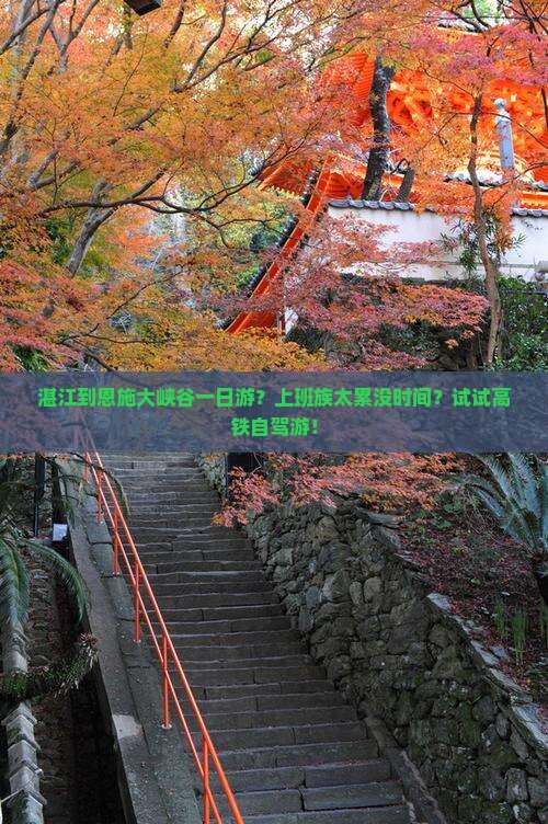 湛江到恩施大峡谷一日游？上班族太累没时间？试试高铁自驾游！