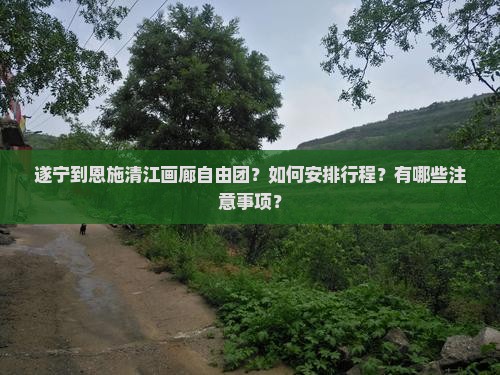 遂宁到恩施清江画廊自由团？如何安排行程？有哪些注意事项？