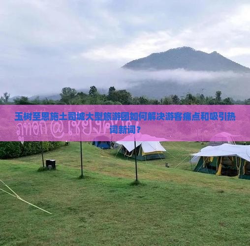 玉树至恩施土司城大型旅游团如何解决游客痛点和吸引热词新词？