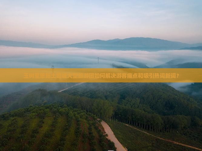 玉树至恩施土司城大型旅游团如何解决游客痛点和吸引热词新词？
