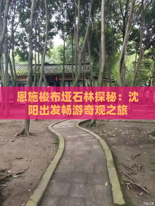 恩施梭布垭石林探秘:沈阳出发畅游奇观之旅 恩施梭布垭石林探秘:沈阳出发畅游奇观之旅