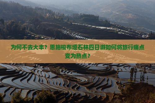 为何不去大丰？恩施梭布垭石林四日游如何将旅行痛点变为热点？