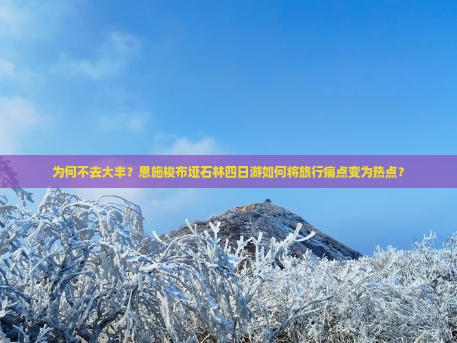 为何不去大丰？恩施梭布垭石林四日游如何将旅行痛点变为热点？