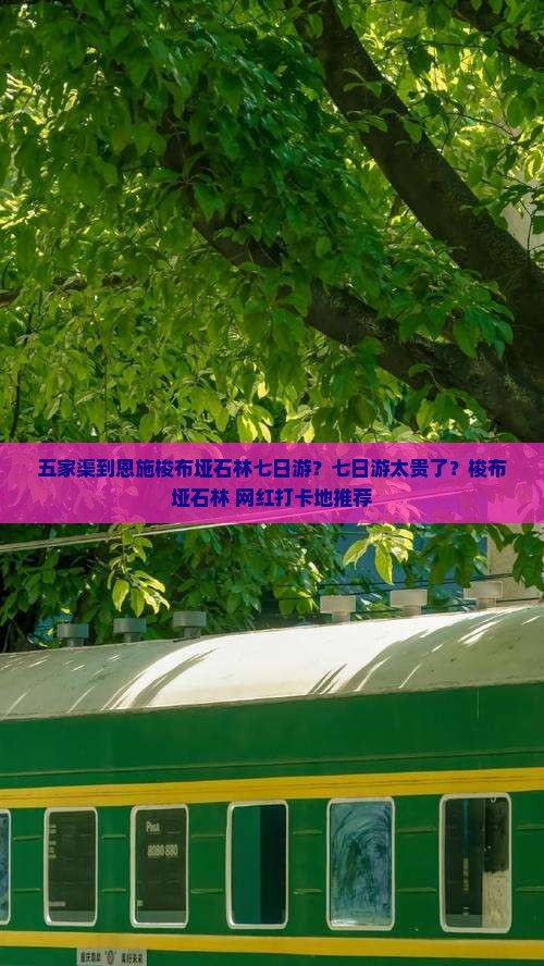五家渠到恩施梭布垭石林七日游？七日游太贵了？梭布垭石林+网红打卡地推荐