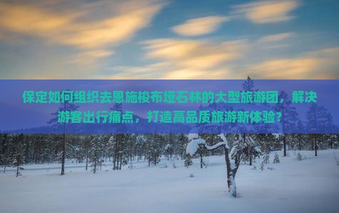 保定如何组织去恩施梭布垭石林的大型旅游团，解决游客出行痛点，打造高品质旅游新体验？