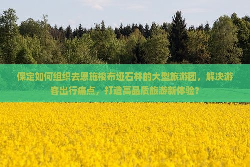 保定如何组织去恩施梭布垭石林的大型旅游团，解决游客出行痛点，打造高品质旅游新体验？