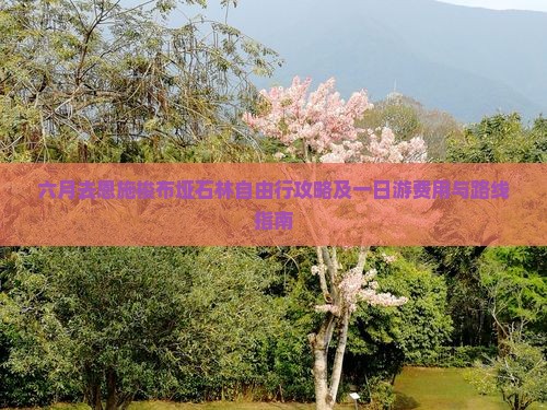 六月去恩施梭布垭石林自由行攻略及一日游费用与路线指南