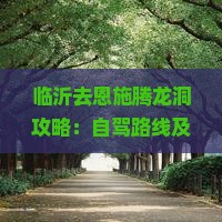 临沂去恩施腾龙洞攻略：自驾路线及机票价格指南