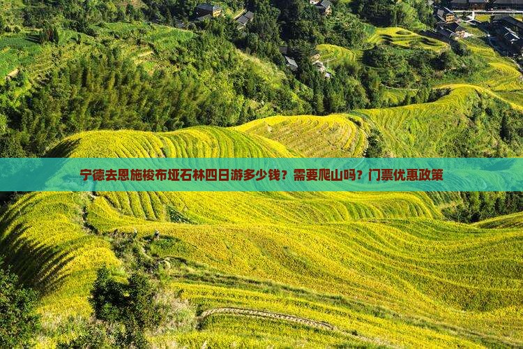 宁德去恩施梭布垭石林四日游多少钱？需要爬山吗？门票优惠政策