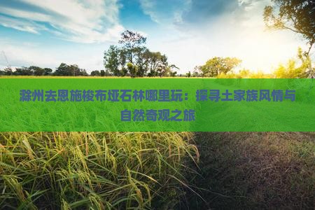 滁州去恩施梭布垭石林哪里玩：探寻土家族风情与自然奇观之旅