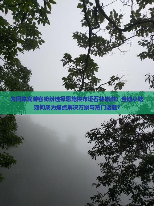 为何来宾游客纷纷选择恩施梭布垭石林旅游？当地小吃如何成为痛点解决方案与热门话题？