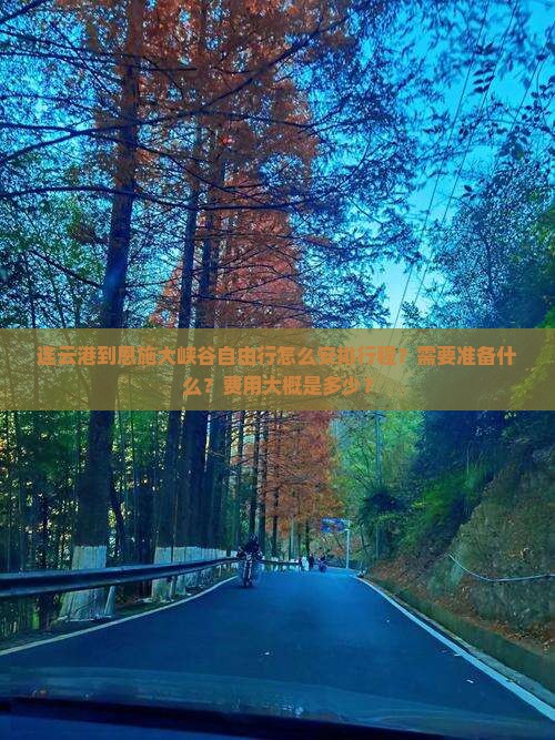 连云港到恩施大峡谷自由行怎么安排行程？需要准备什么？费用大概是多少？