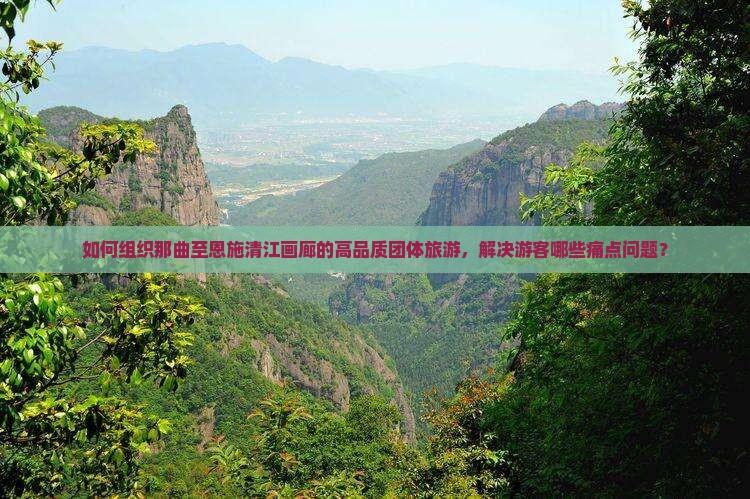 如何组织那曲至恩施清江画廊的高品质团体旅游，解决游客哪些痛点问题？