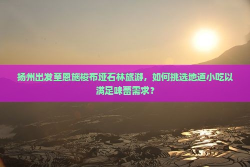 扬州出发至恩施梭布垭石林旅游，如何挑选地道小吃以满足味蕾需求？