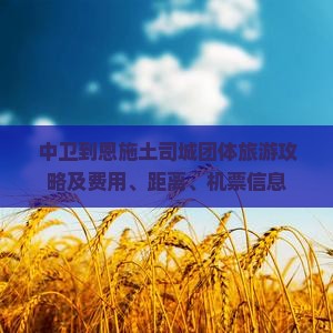 中卫到恩施土司城团体旅游攻略及费用、距离、机票信息