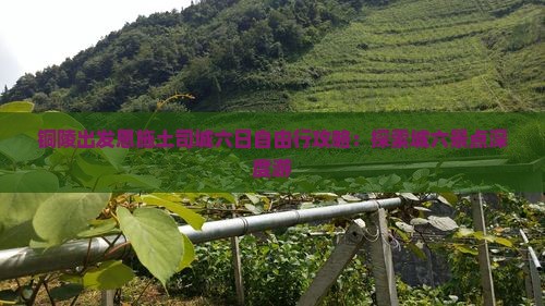 铜陵出发恩施土司城六日自由行攻略：探索城六景点深度游