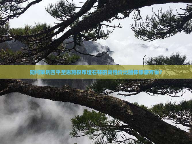 如何策划四平至恩施梭布垭石林的高性价比团体旅游方案？