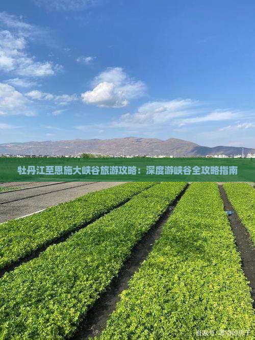 牡丹江至恩施大峡谷旅游攻略：深度游峡谷全攻略指南