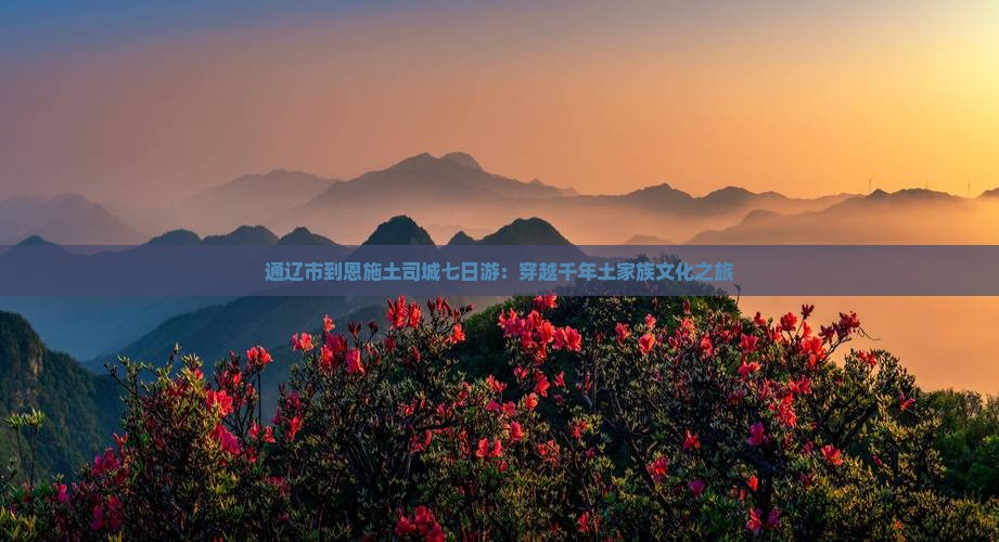 通辽市到恩施土司城七日游：穿越千年土家族文化之旅