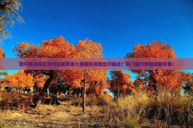 如何解决呼和浩特往返恩施七星寨的高效出行痛点？热门旅行新词攻略求解！