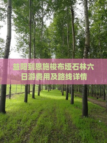 益阳到恩施梭布垭石林六日游费用及路线详情