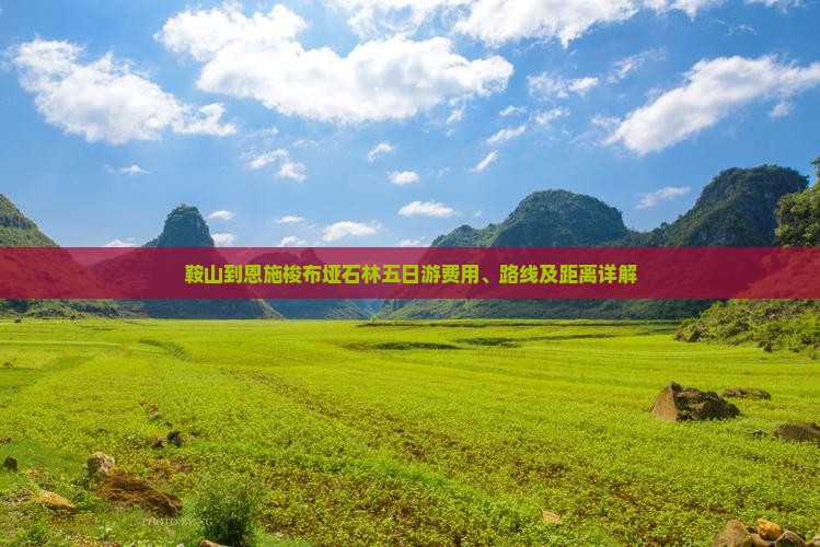 鞍山到恩施梭布垭石林五日游费用、路线及距离详解