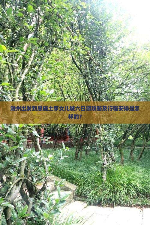 滁州出发到恩施土家女儿城六日游攻略及行程安排是怎样的？