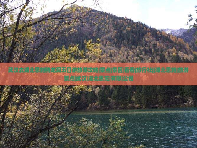 武汉去湖北恩施腾龙洞五日游旅游攻略|景点|景区|看看|旅行社||湖北恩施|旅游景点|武汉|湖北恩施|有限|公司