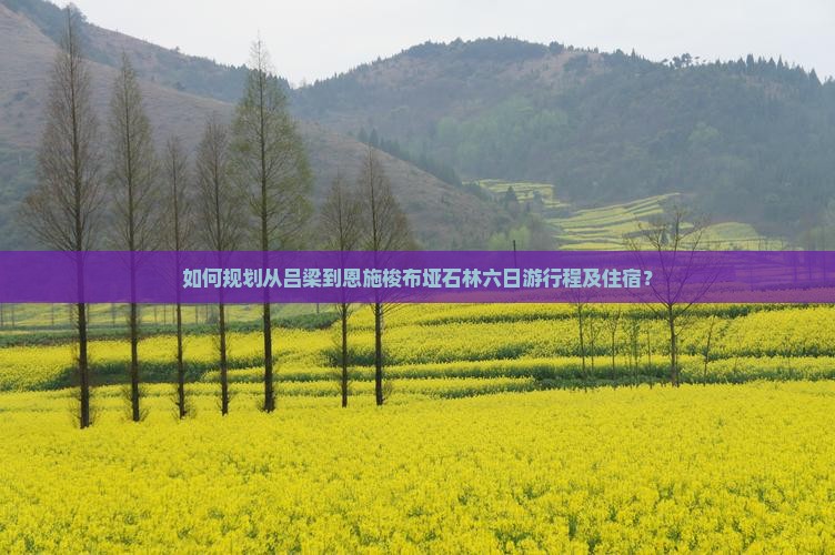 如何规划从吕梁到恩施梭布垭石林六日游行程及住宿？
