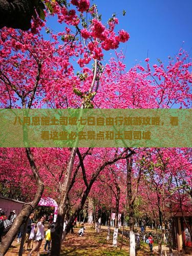 八月恩施土司城七日自由行旅游攻略，看看这些必去景点和土司司城