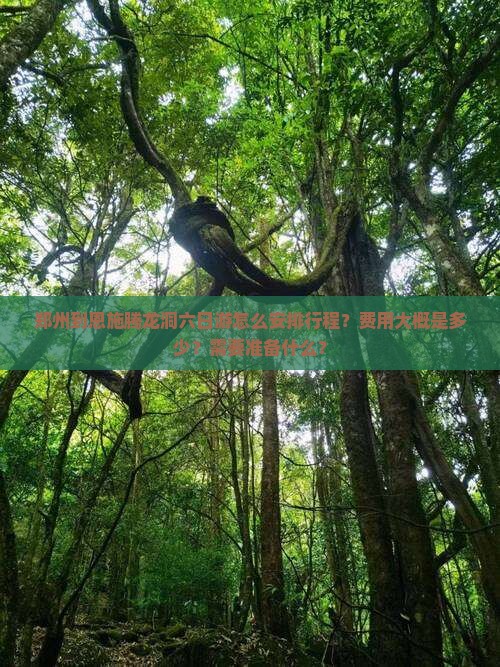 郑州到恩施腾龙洞六日游怎么安排行程？费用大概是多少？需要准备什么？