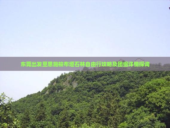 东莞出发至恩施梭布垭石林自由行攻略及团组详情探询