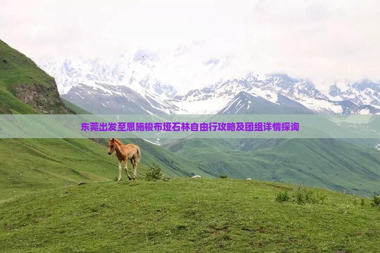 东莞出发至恩施梭布垭石林自由行攻略及团组详情探询