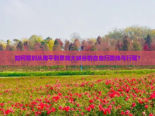 如何规划从南平到恩施大峡谷的自由行路线与行程？