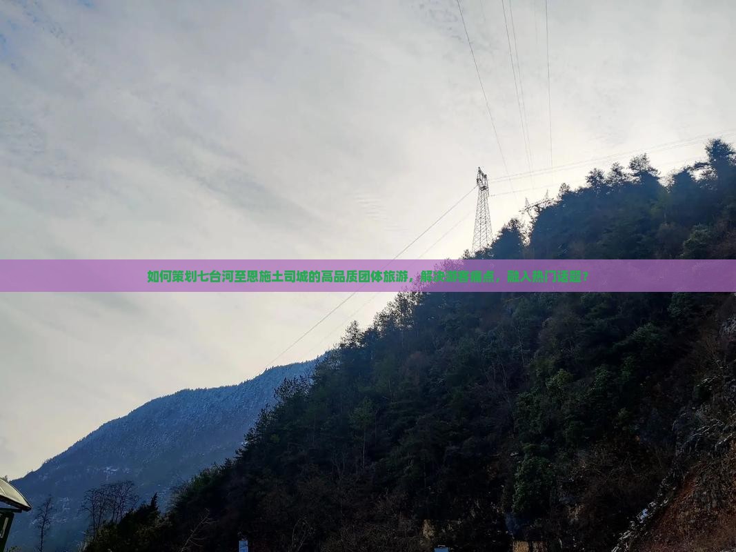 如何策划七台河至恩施土司城的高品质团体旅游，解决游客痛点，融入热门话题？