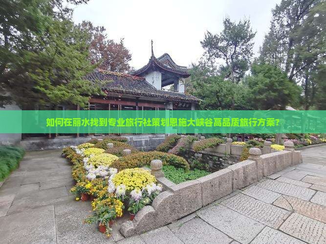 如何在丽水找到专业旅行社策划恩施大峡谷高品质旅行方案？