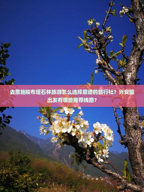 去恩施梭布垭石林旅游怎么选择靠谱的旅行社？兴安盟出发有哪些推荐线路？
